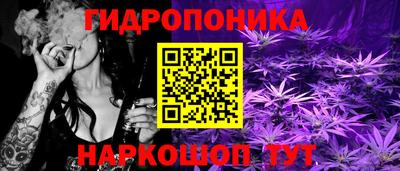 apvp Пыть-Ях