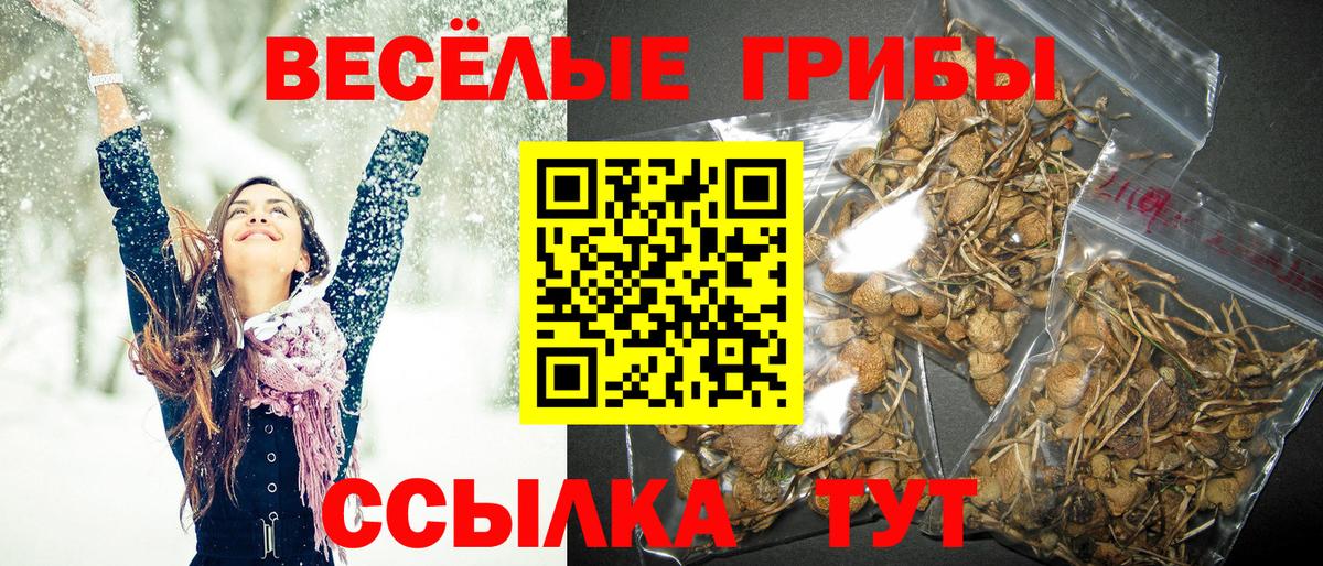 Галлюциногенные грибы мицелий Семёнов