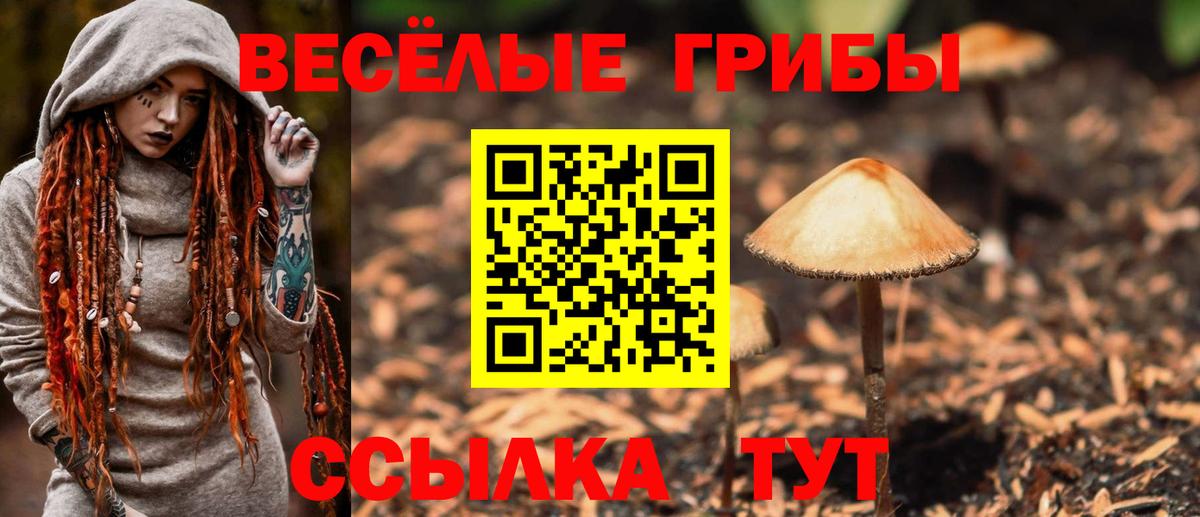 Семёнов  Галлюциногенные грибы Cubensis  Псилоцибиновые грибы ЛСД  Вход с VPN 